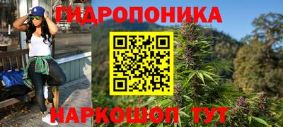 хмурый Дубна